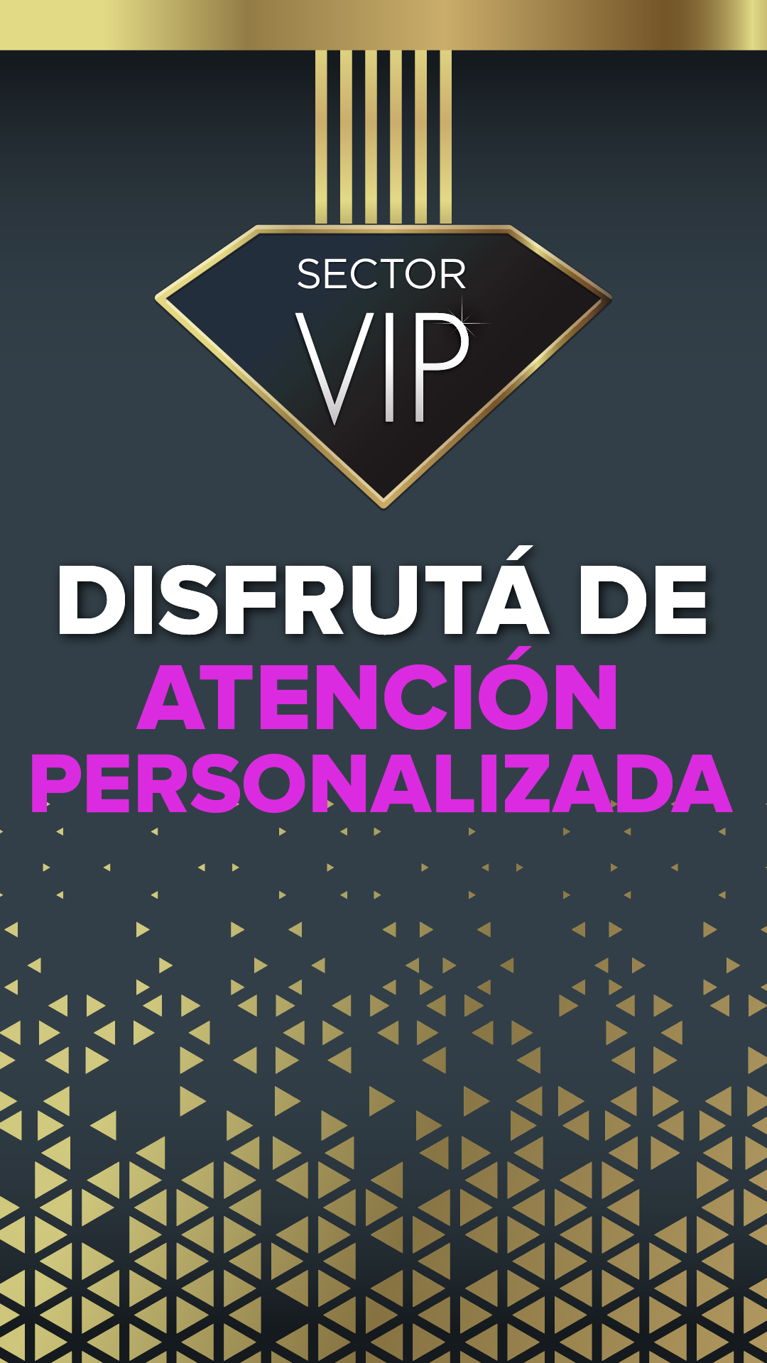 Sector Vip